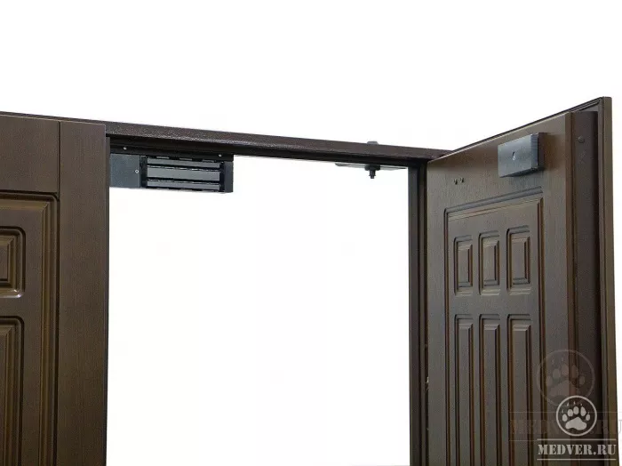Двустворчатая дверь Эл-101 1